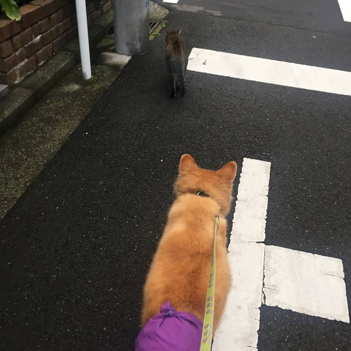 3df0503c 5cde 49be a371 e0491bff3ada