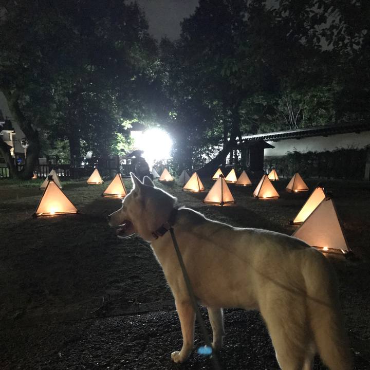 3df12d17 e027 4d4a a162 4f1daf94d7df