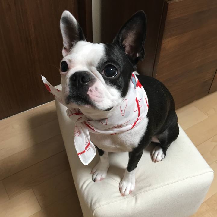 3df175ae 164d 42dd 947c 22f6a0c0e0fb