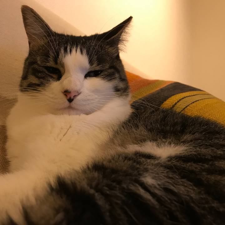 3df20b10 fbf4 4239 963e 29b1727f2744