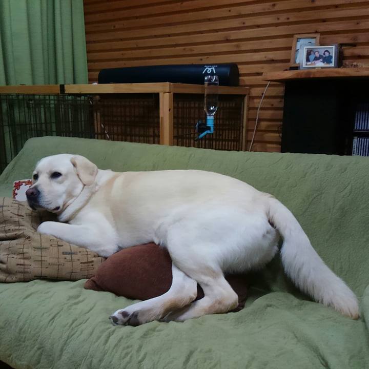 3df20fb2 0cd3 46ac 83ae 4ddbd6c32b41