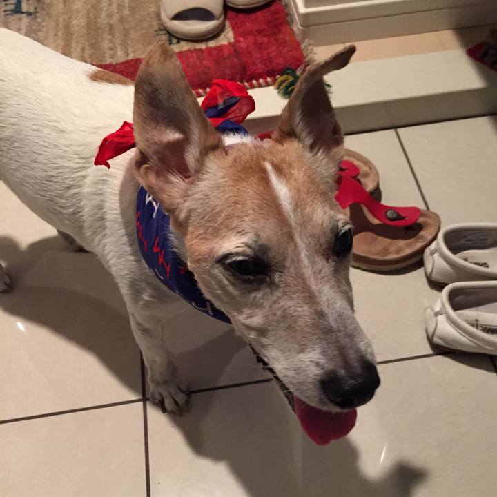 3df2b71e 2b9f 4873 bce5 d2bb93dd04e1