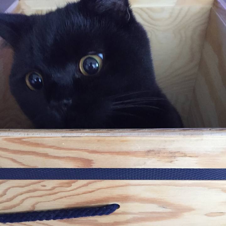 3df2fc32 39f0 483b a0df c6dad192db65