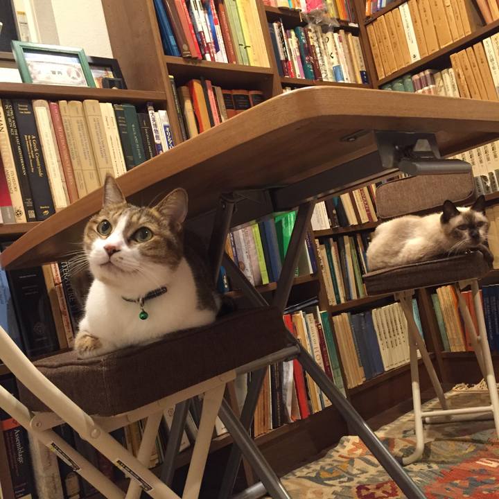 3df3b5de b0cc 4360 8c46 5e7ab2c9325b