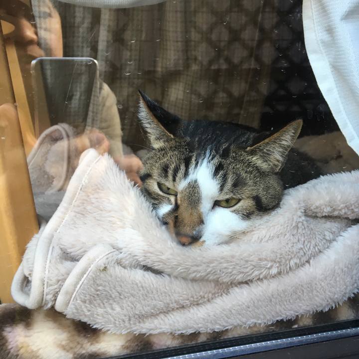 3df4e219 d4bb 4e25 bc87 7f47c7233f80