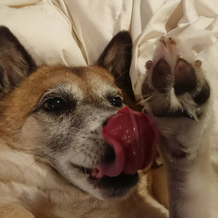 3df4e329 ed50 4e63 ada2 8d6f06ad9231