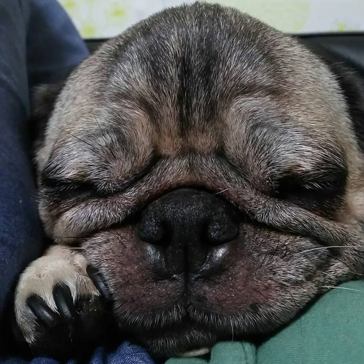 3df4e3e8 b926 4680 a6a4 3742eb01deb4