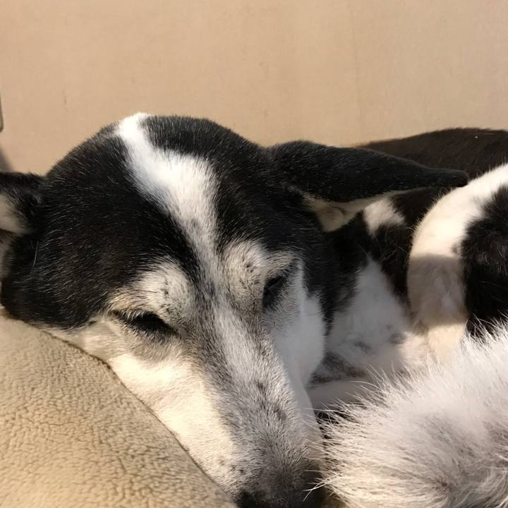 3df4ec59 7120 4ca8 9dab b144dd48fb92