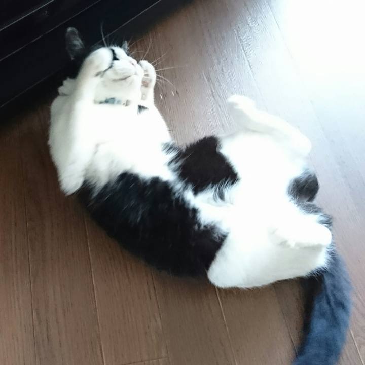 3df4f05b cb29 4ebc a1d2 3d3ee1575ad6