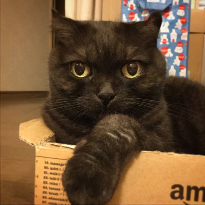 3df52357 719a 4f08 ae07 cb62d096c742