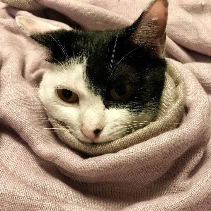 3df52b64 63eb 42a7 b675 daa488c7bd03