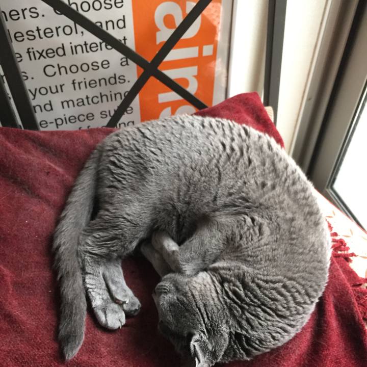 3df58234 9fa5 4d93 a2a5 ac0eb2b728f9