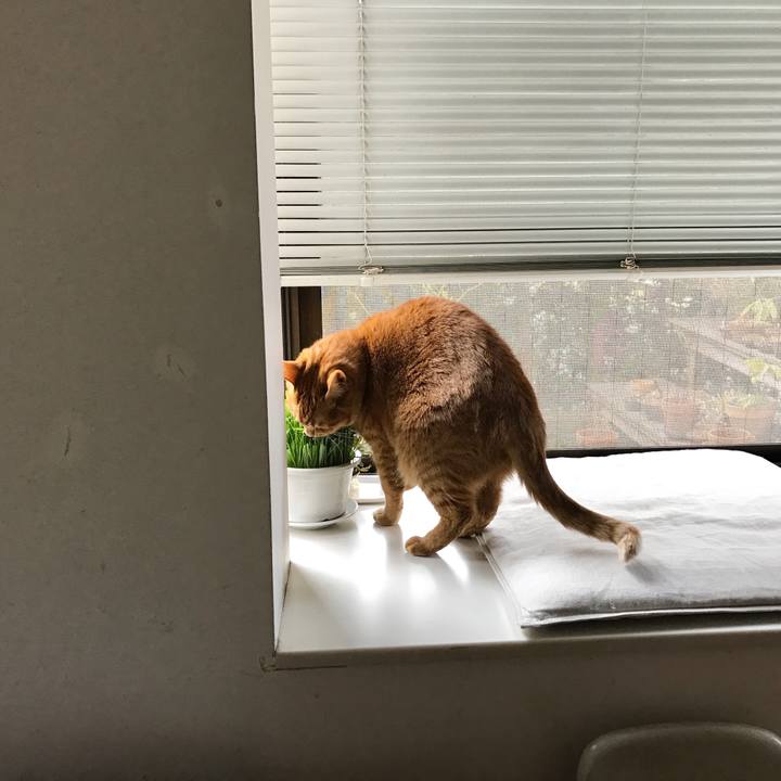 3df65a30 b47e 4139 9819 cc3112ce40ed