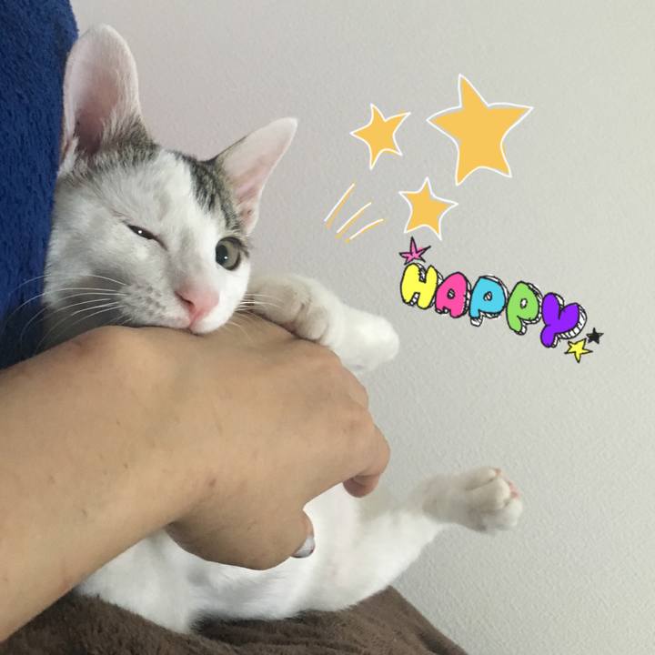 3df676d4 f2e5 4844 bc6d 4e451c744909