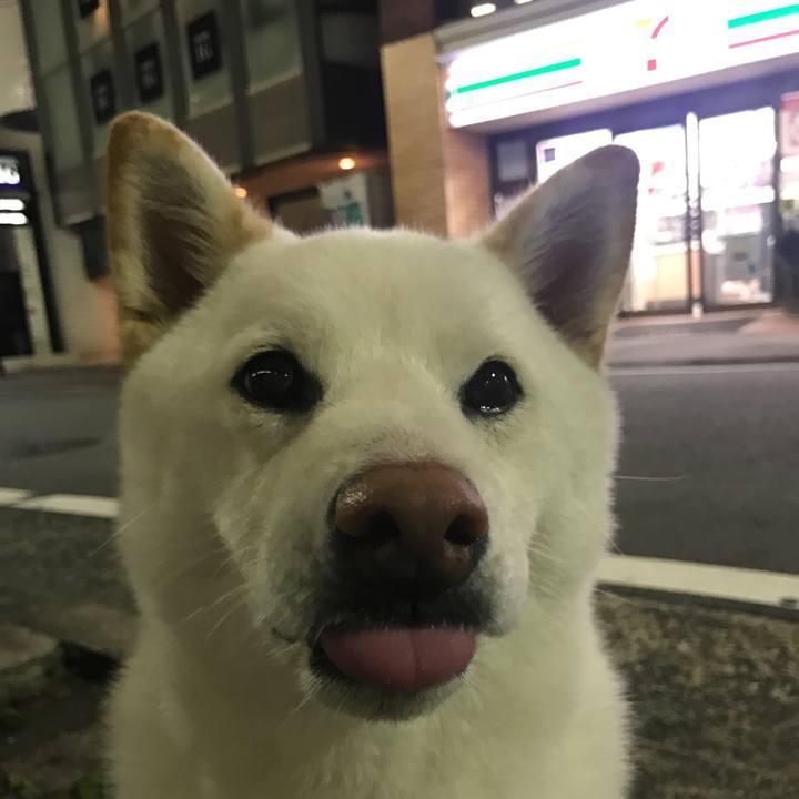 3df6bce5 36f2 4b2c a066 7fb6cedec271