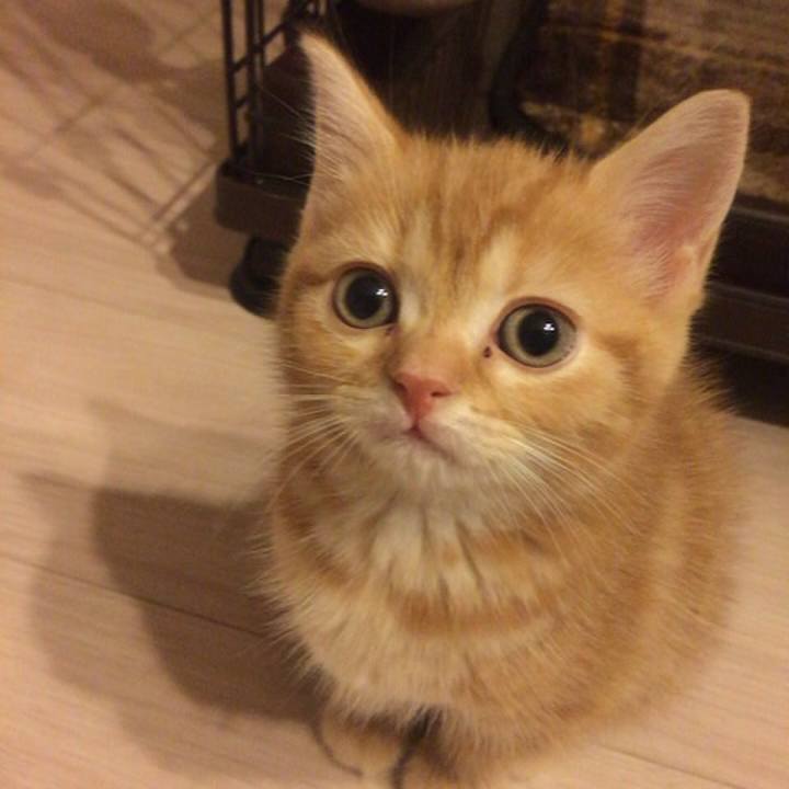 3df6be5e c7c0 4b55 861d 3b098c1d5223