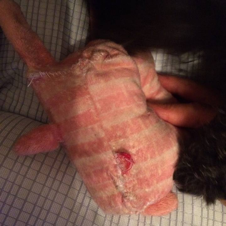 3df6c06d 97dc 4086 a915 c5d1049054ef