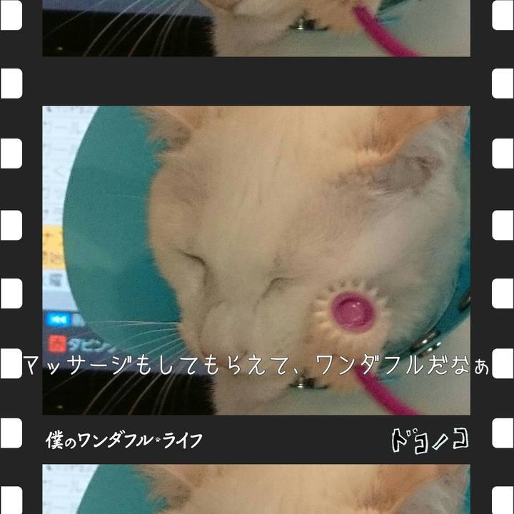 3df6c83d f295 4fcf a513 2ad374dafae4