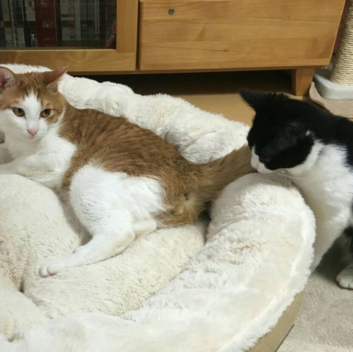 3df6e996 f95c 49e4 a354 8cb12eec5c8b