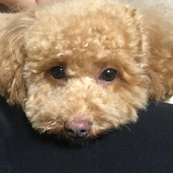 3df7011f 6645 485f 8787 f70486107422