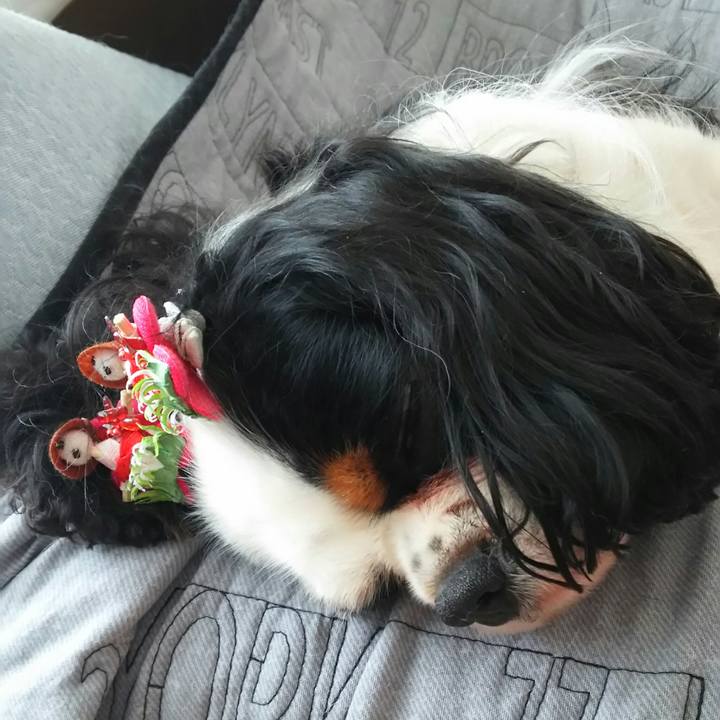 3df71030 eb1c 4cb5 9a72 90cf036ced49