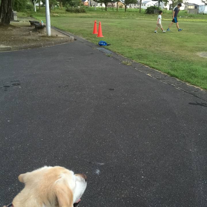 3df73ea1 8797 4f0b acf4 da8f43f14dac