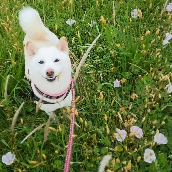 3df75bc0 8c54 4fa5 8fc1 4d8e33943af3