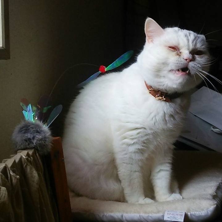 3df7b5ad 7ce2 4a9a b734 854388aa3160