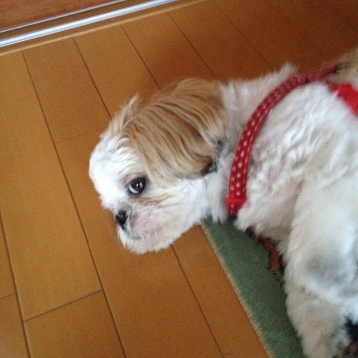 3df84d88 e542 485d a17e da9507d39394