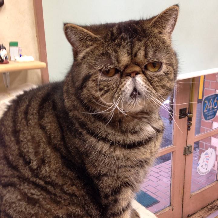 3df86efe a1e1 41e2 bf6a 82094976d061