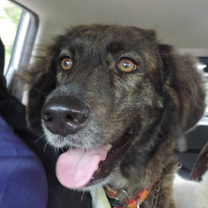 3df890ec 0c2d 49ef a530 daa1e03895cd