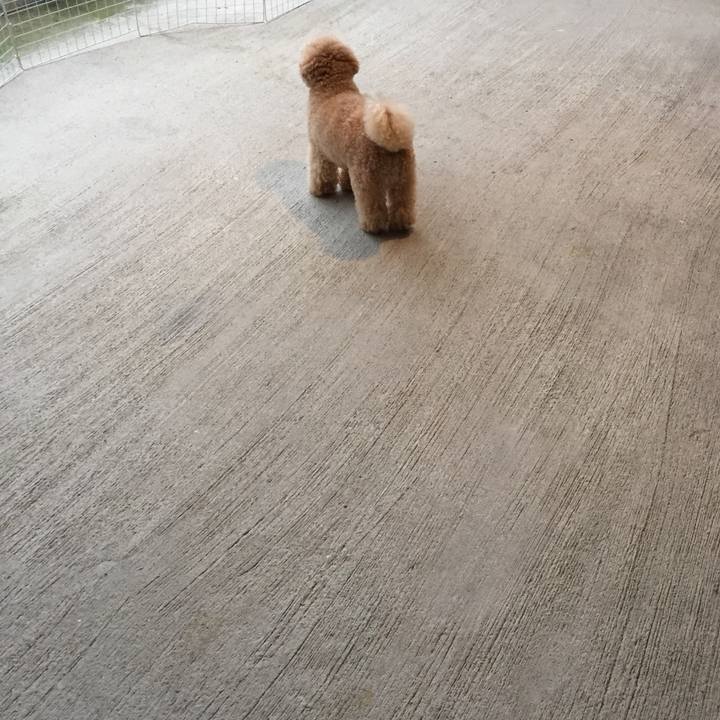 3df8d656 43ca 48b9 bb42 90975f54d44a