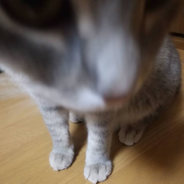 3df8fd24 4cfa 4d1b a879 6167e5e0c504