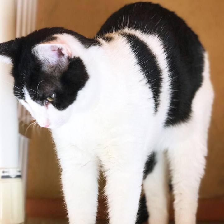 3dfa3211 284d 4770 bbc3 606afcf91584