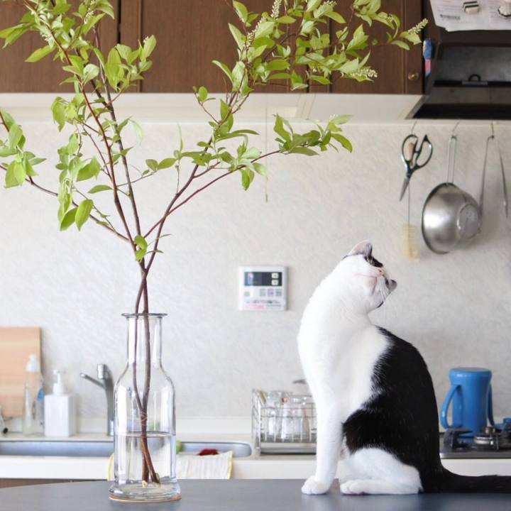 3dfaa58e f943 466b bd76 0bda2a1f0b2f