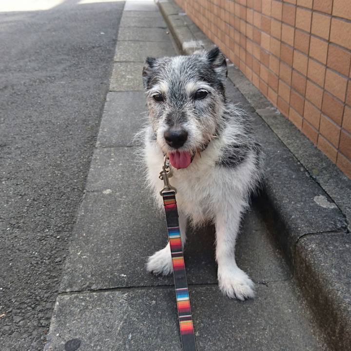 3dfb29ef 1024 419e 873f 0c2bad1c9df5