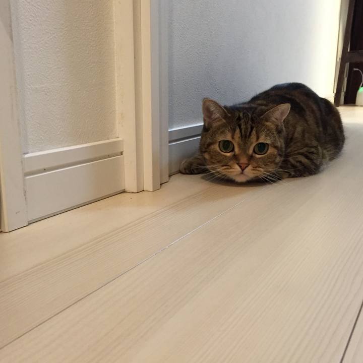 3dfb431a 1c57 40a4 a102 209f09528faf