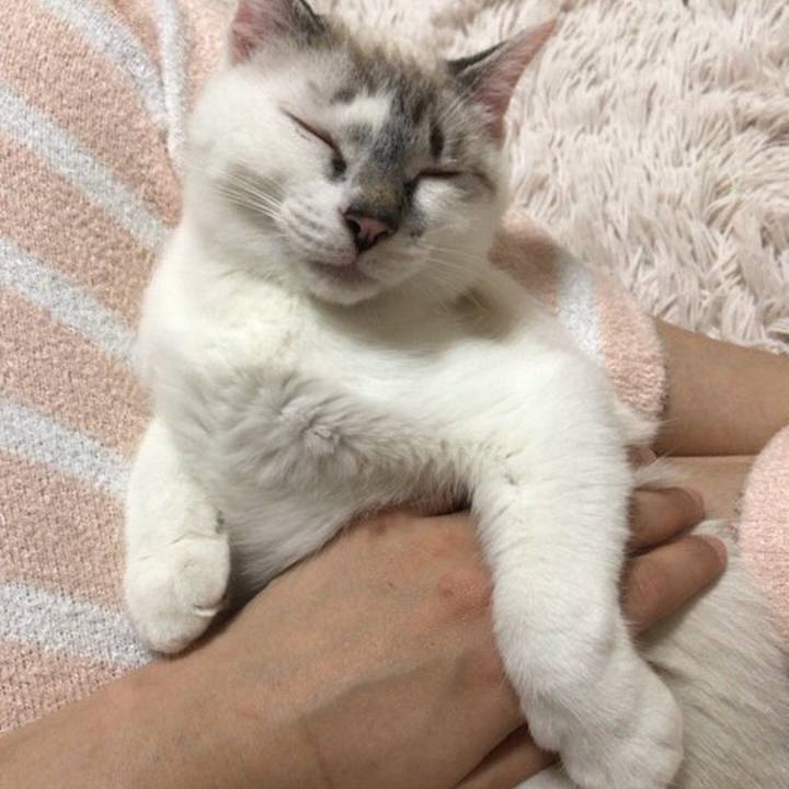 3dfb783c 3019 4c91 b9bd bcedc507495d