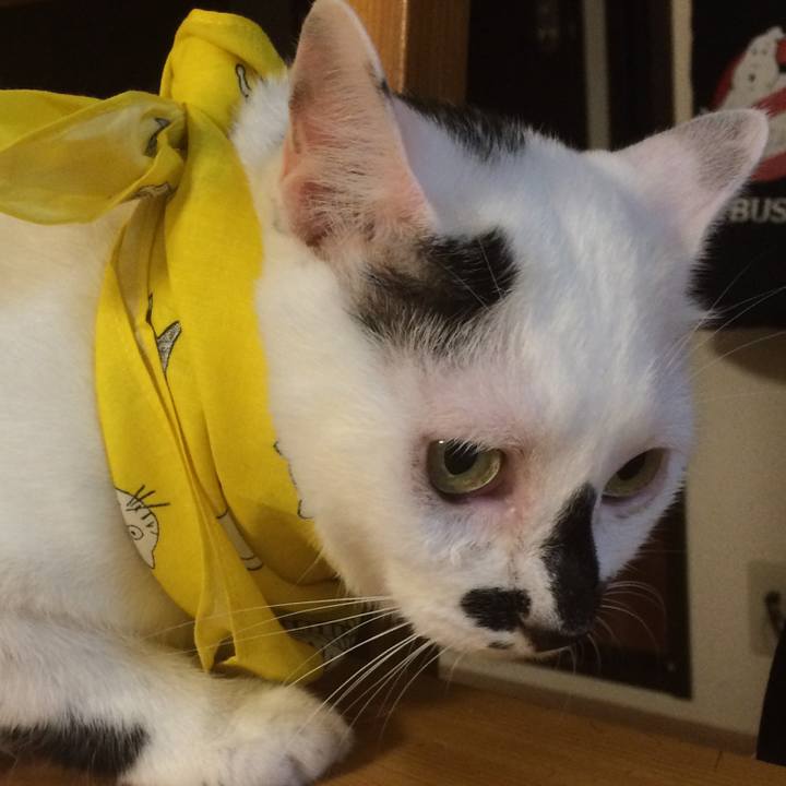 3dfba2aa 6a99 4839 a0c3 b824c52e27ae