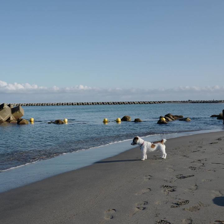 3dfc1413 9d8a 4b63 a6af da3605baad25