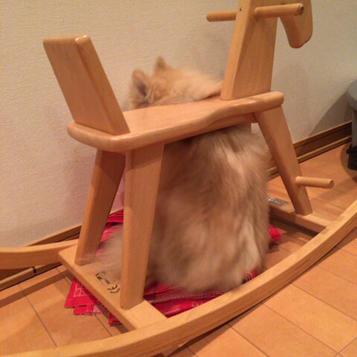 3dfcfbdc 6c3b 41ab 8ee1 c373ff22b388