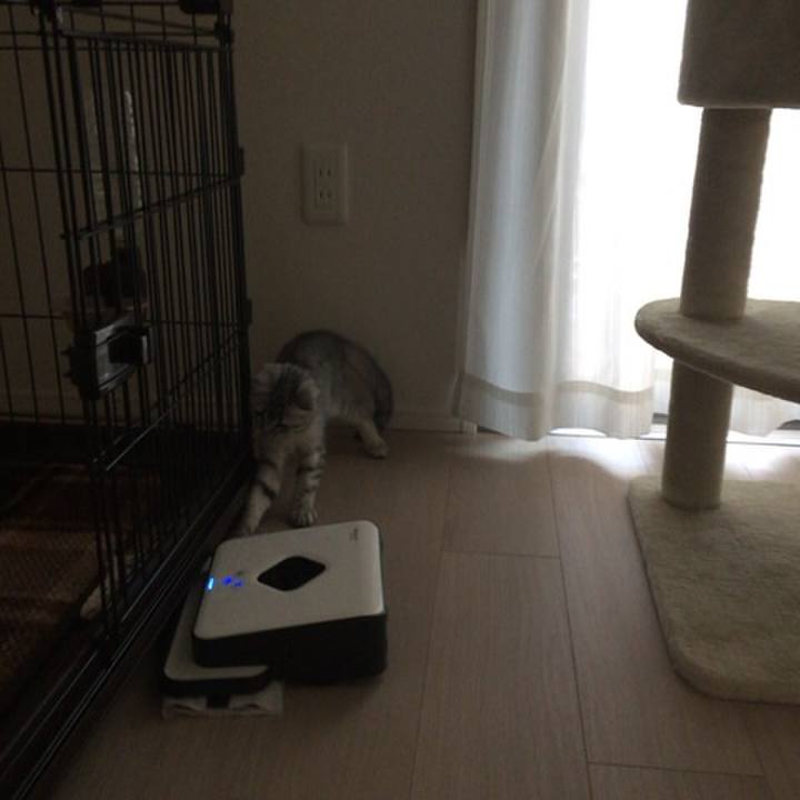 3dfd2267 e47f 4007 b055 7cdadc37ca8a