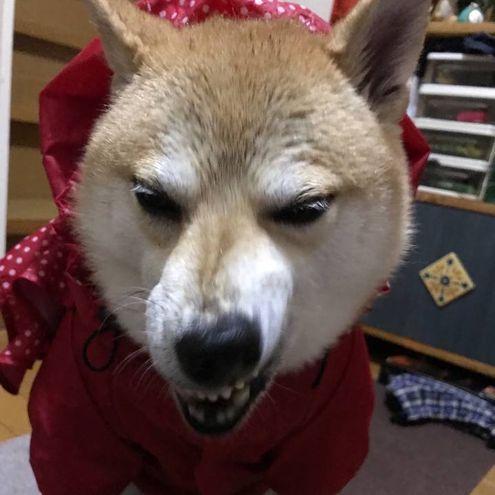 3dfd3262 6124 4f62 8c17 da385af82291