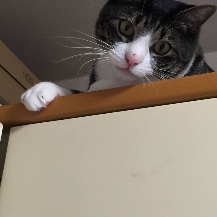 3dfd4a7f 976f 4a1b 8795 8b96c933fb51