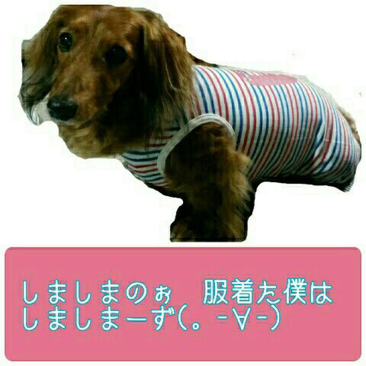 3dfec9ae bb36 48e1 b4ec 22e242f5d6a6