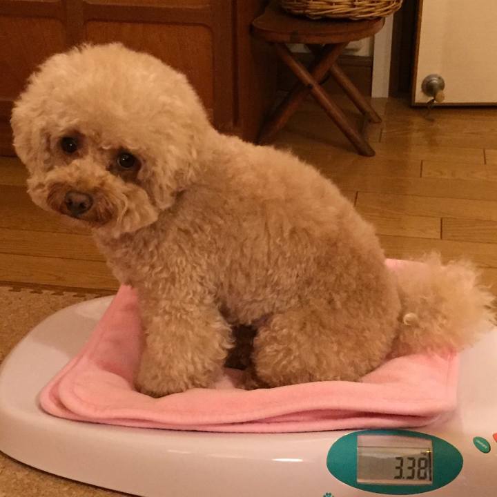 3dff0c2b c428 4170 a6a0 efc09a3aafc6