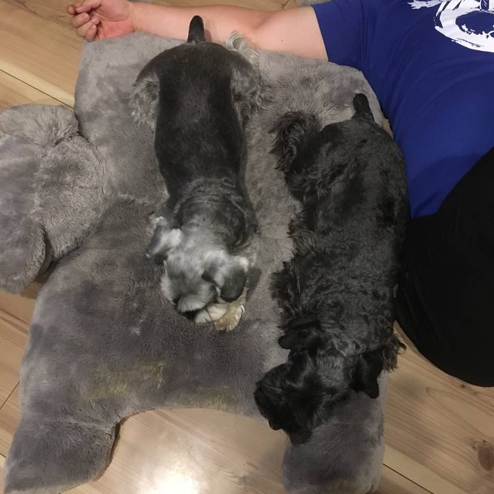 3dff1529 6c1c 4482 99b7 1bd93ee332f3