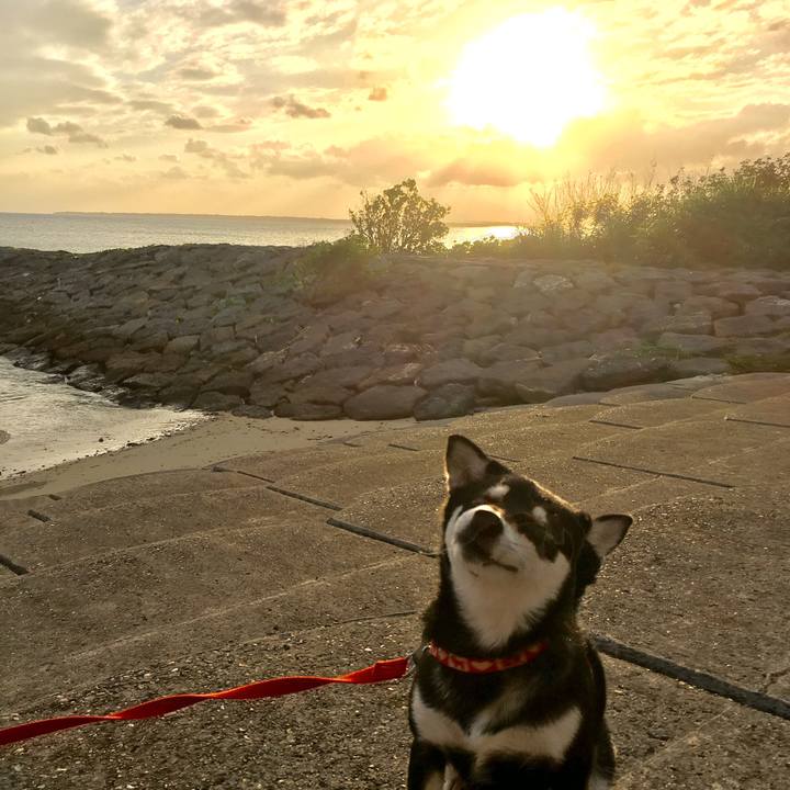 3dffc348 0d6e 4899 b278 3bff9473eab7