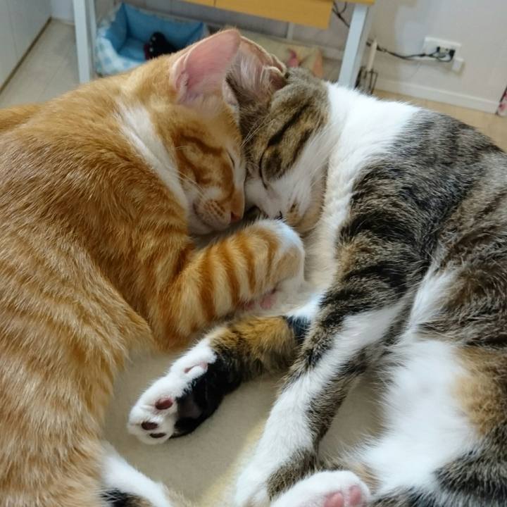 3e00d282 5f0f 45e6 9a43 979cabf48389