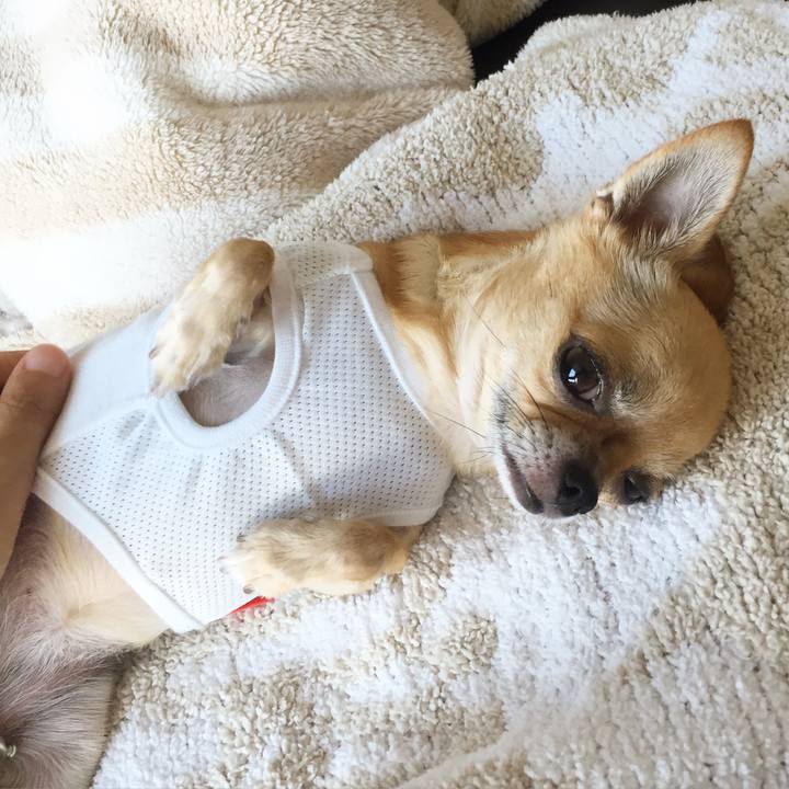 3e00db3b bf94 4921 a32f ec5dfa5a01f8